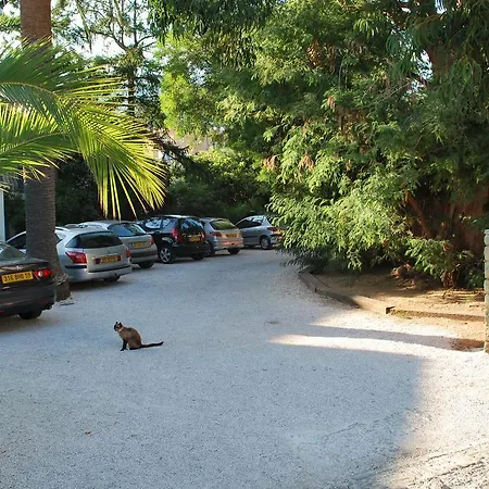 Provencale ホテル キャバレール・シュル・メール